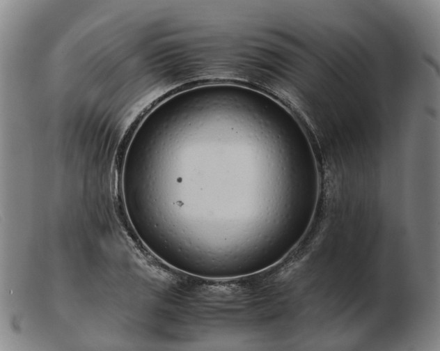 X0000103481125200809191852