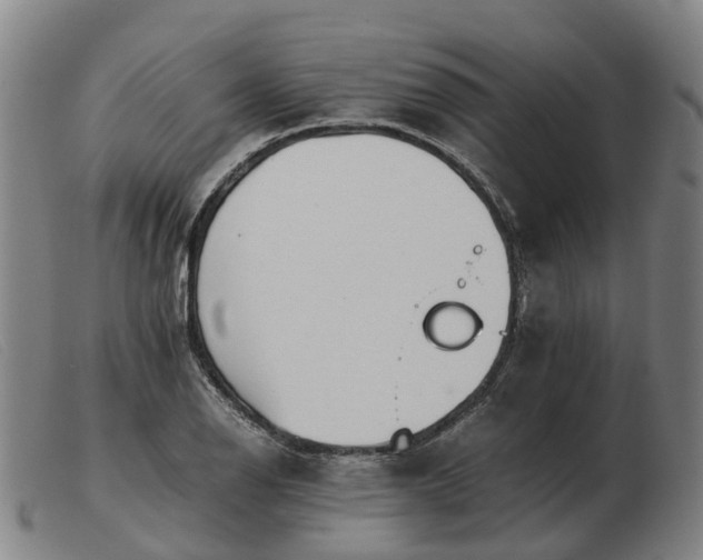 X0000103481126200809191853