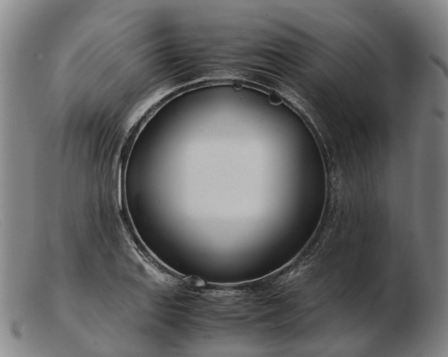X0000103481127200809191853