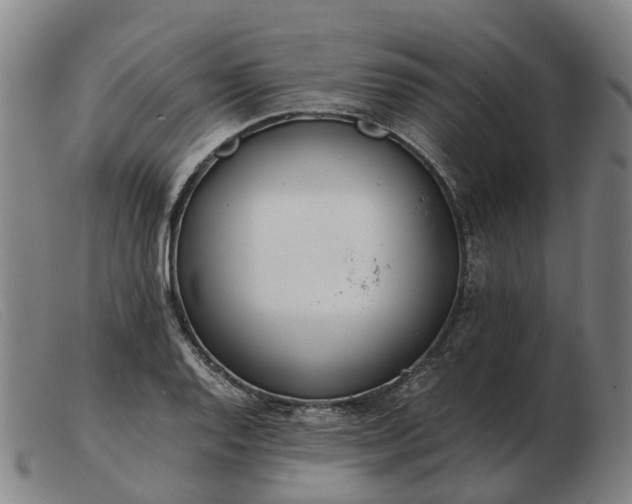 X0000103481128200809191853