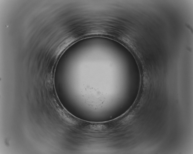 X0000103481129200809191853