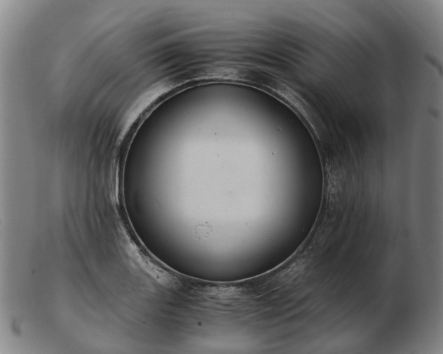X0000103481131200809191853