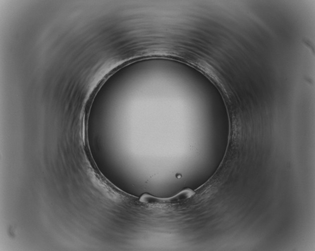 X0000103481132200809191853