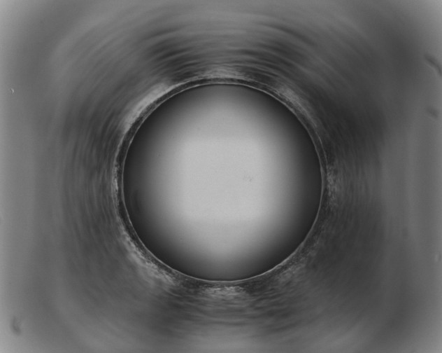 X0000103481133200809191853