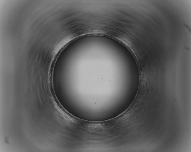 X0000103481135200809191853