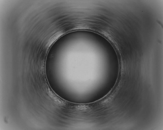 X0000103481137200809191853