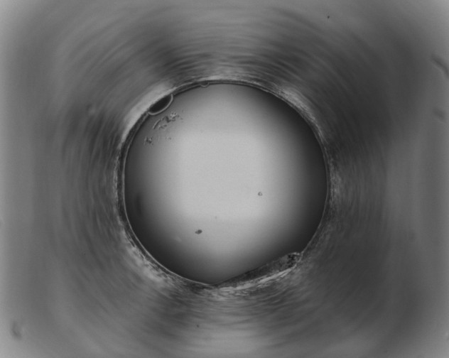 X0000103481138200809191853