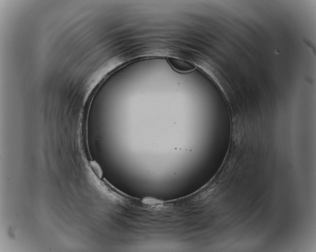 X0000103481139200809191853