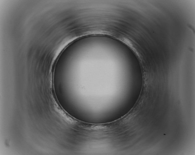 X0000103481140200809191853