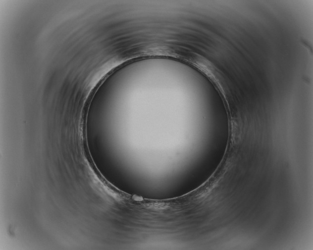 X0000103481141200809191853