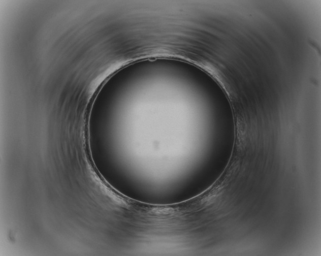 X0000103481142200809191853