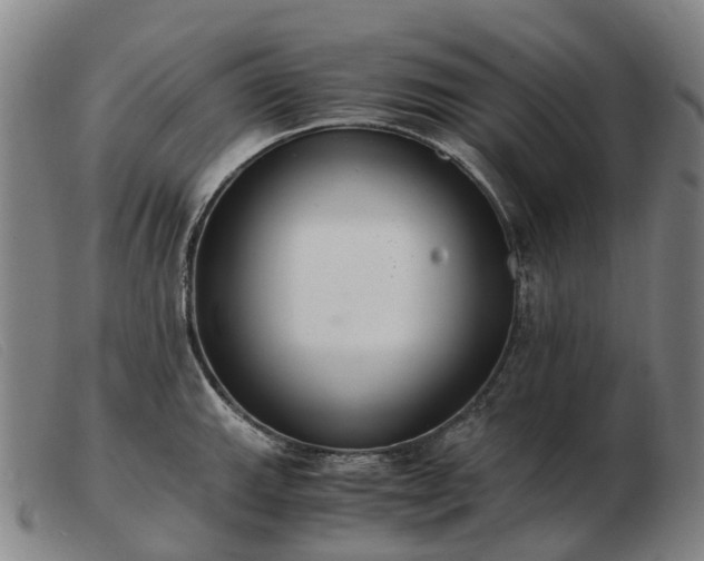 X0000103481143200809191853