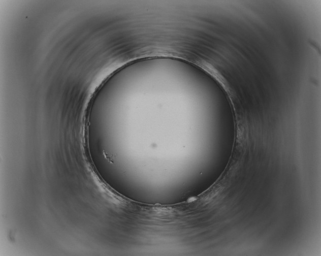 X0000103481144200809191853