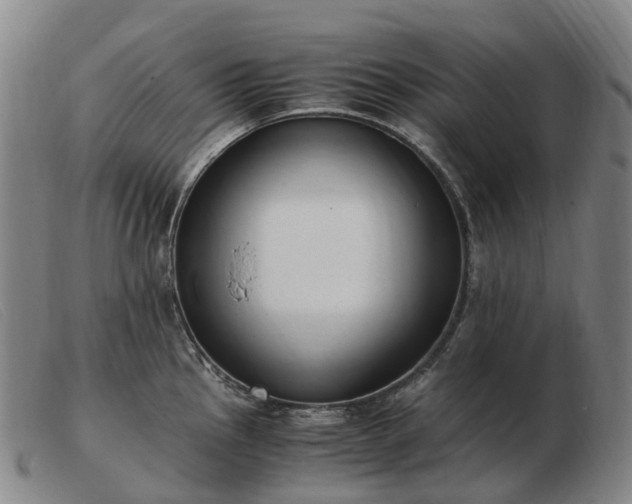 X0000103481145200809191853