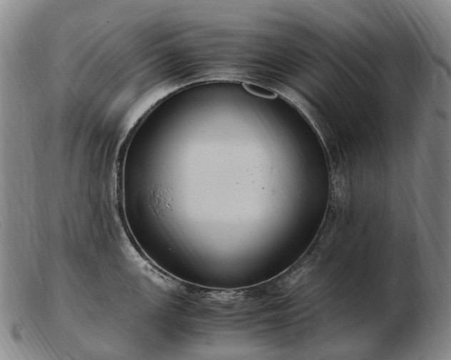 X0000103481147200809191853