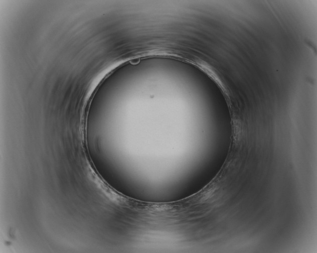X0000103481148200809191853