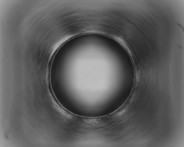 X0000103481149200809191853