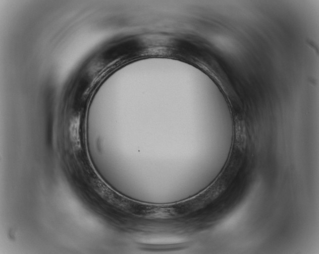 X0000103481150200809191853