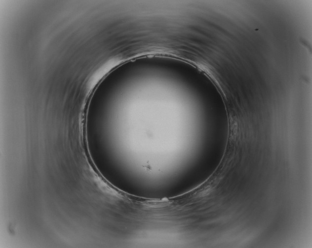 X0000103481151200809191853
