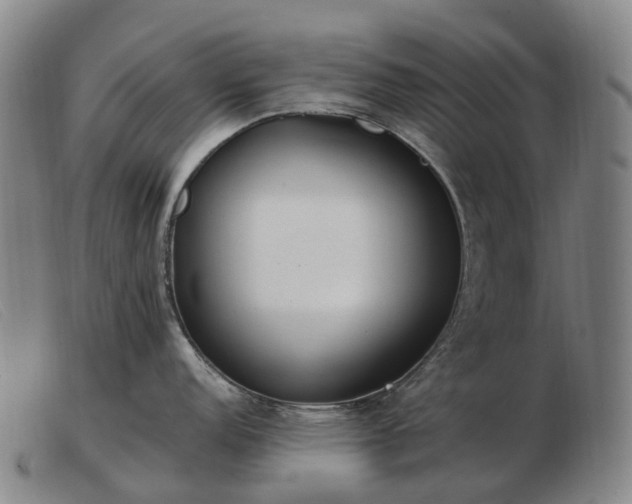 X0000103481152200809191853