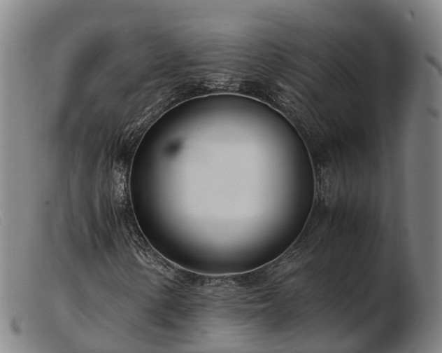X0000103481154200809191852