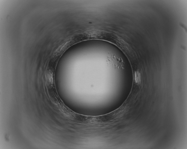 X0000103481155200809191852