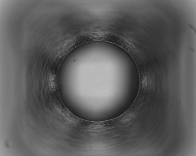 X0000103481156200809191852