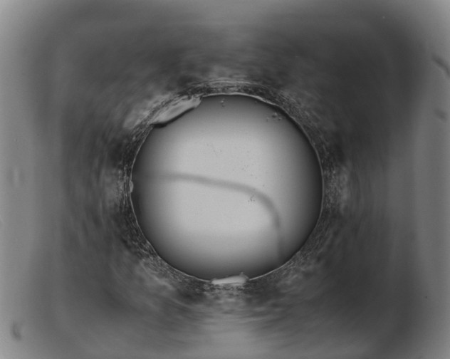 X0000103481157200809191852