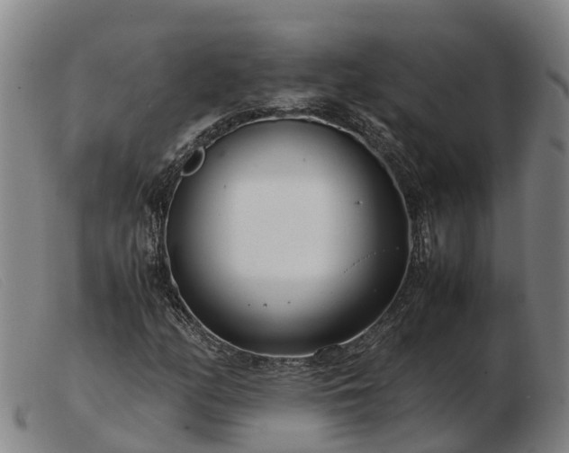 X0000103481158200809191852