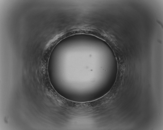 X0000103481159200809191852