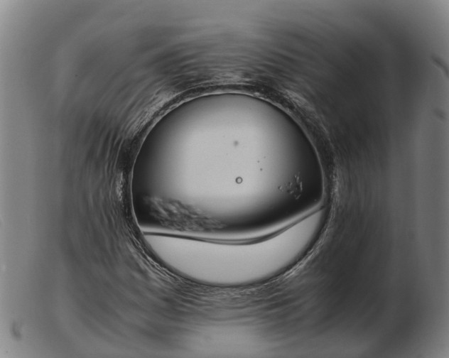 X0000103481161200809191852