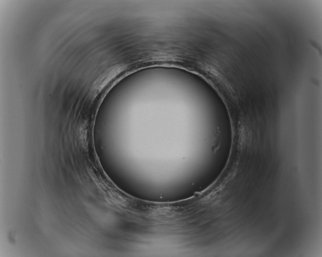 X0000103481162200809191852