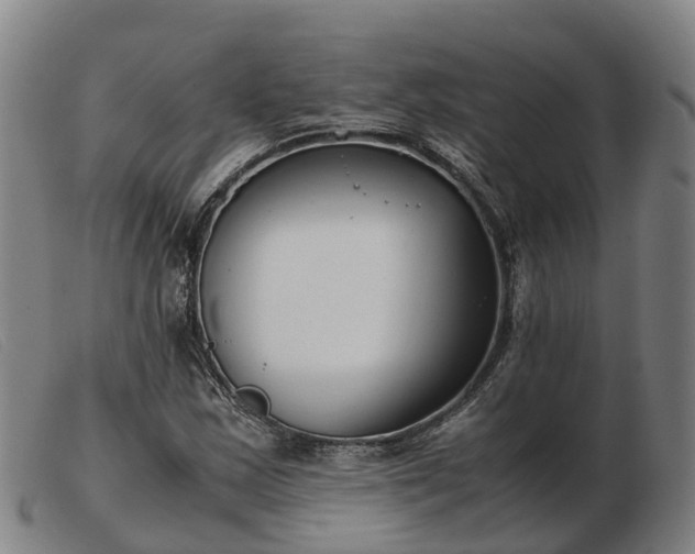 X0000103481163200809191852