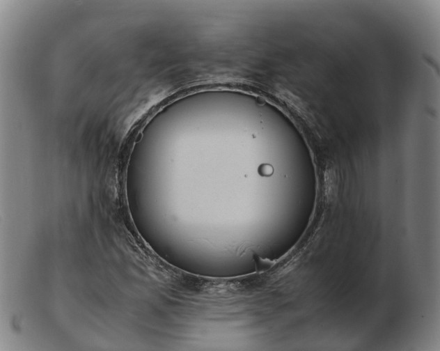 X0000103481165200809191852