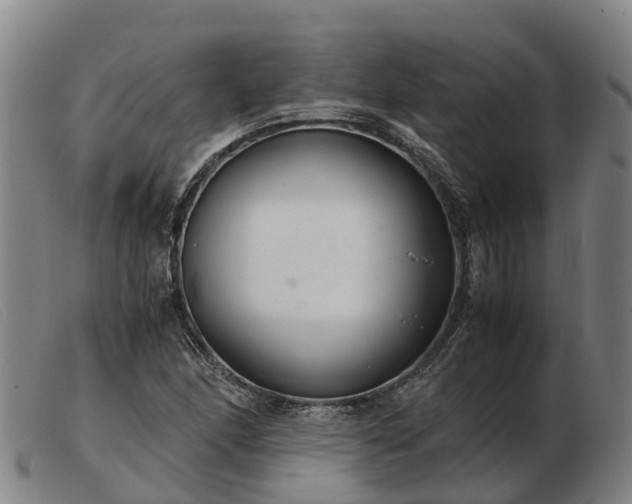 X0000103481166200809191852