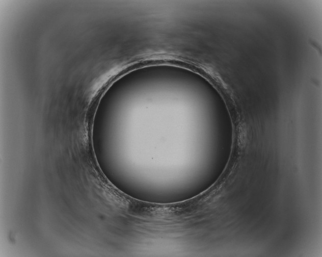 X0000103481167200809191852