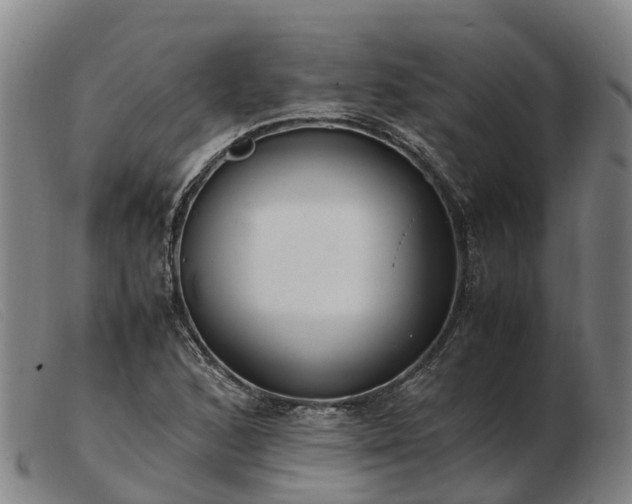 X0000103481168200809191852