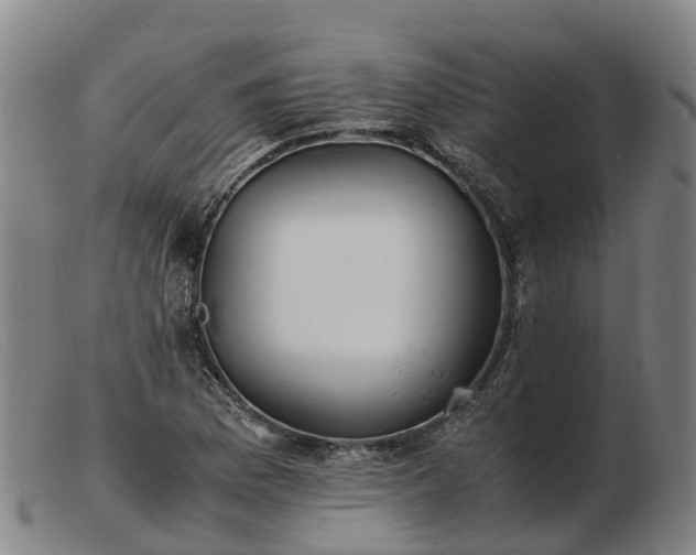 X0000103481169200809191852