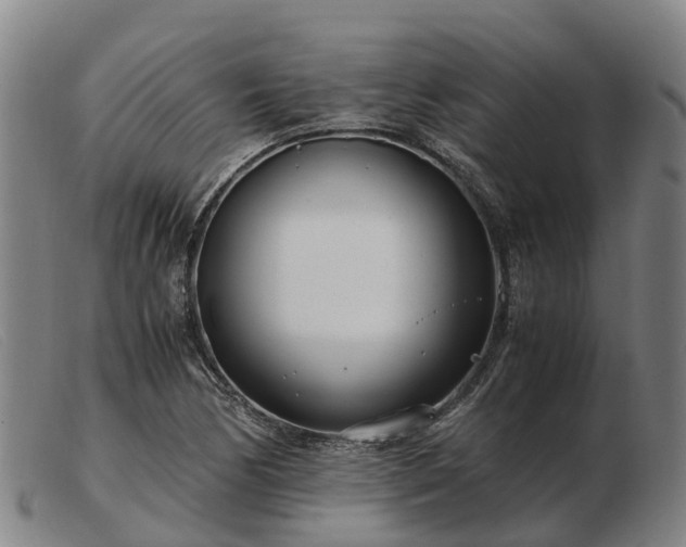 X0000103481170200809191852