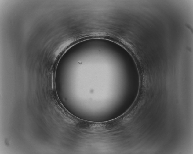 X0000103481171200809191852