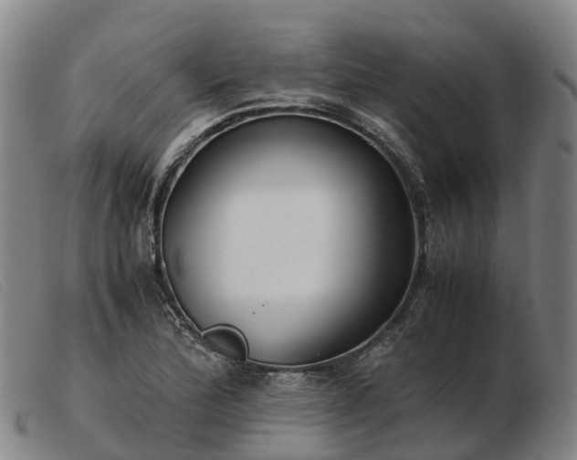 X0000103481172200809191852