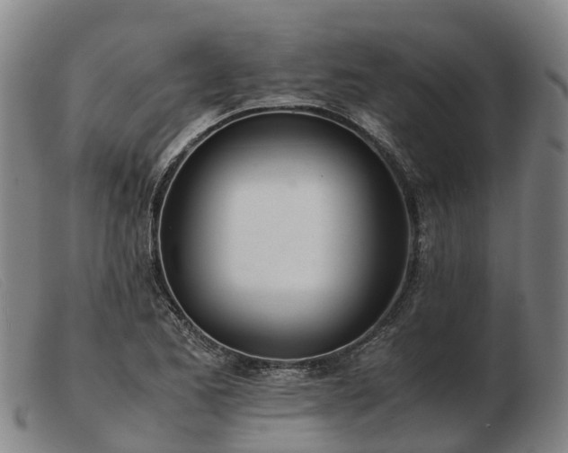 X0000103481173200809191852