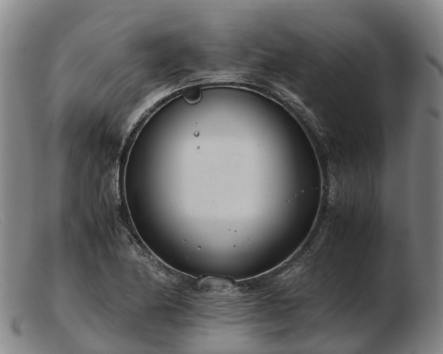X0000103481174200809191852