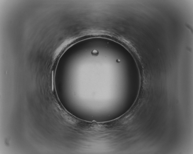 X0000103481175200809191852