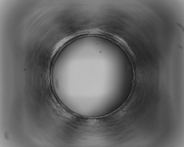 X0000103481176200809191852