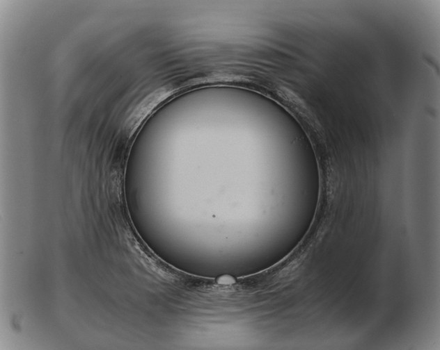 X0000103481177200809191852