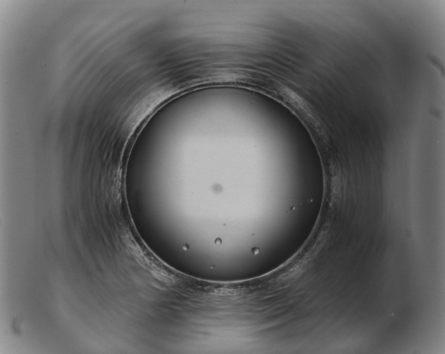 X0000103481178200809191852