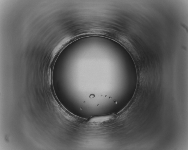 X0000103481180200809191851