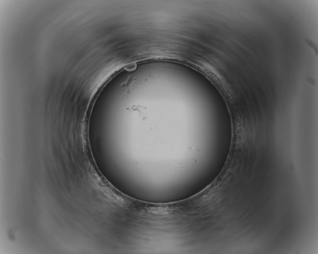X0000103481182200809191851