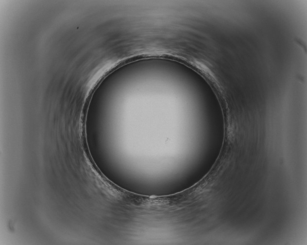 X0000103481183200809191851